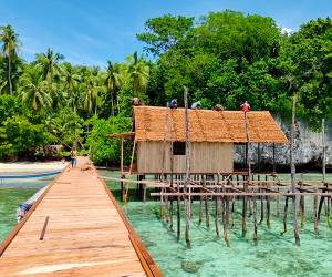 Kalma Raja Ampat
